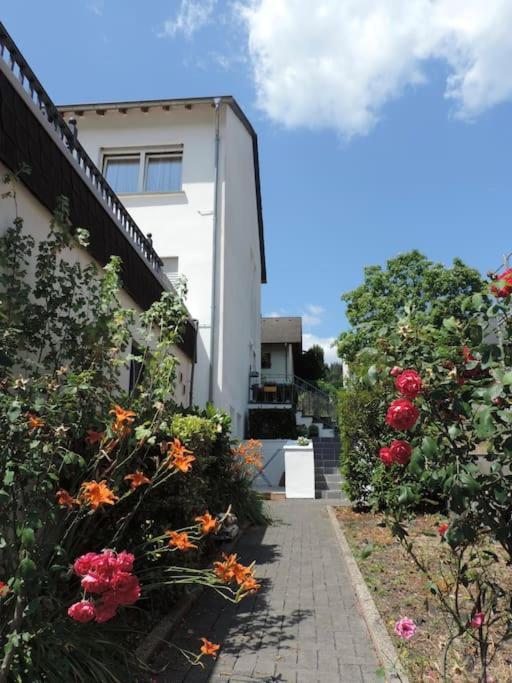 Julia'S Mosel Villa Appartement Nicolas 特拉本特拉巴赫 外观 照片